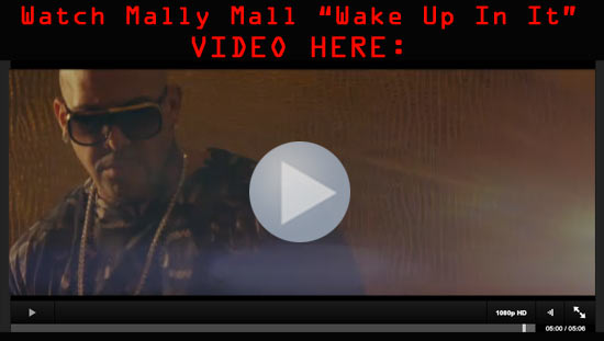 Watch Mally Mall “Wake Up In It” Video Here
